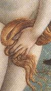 Sandro Botticelli The Birth of Venus (mk36) oil painting reproduction